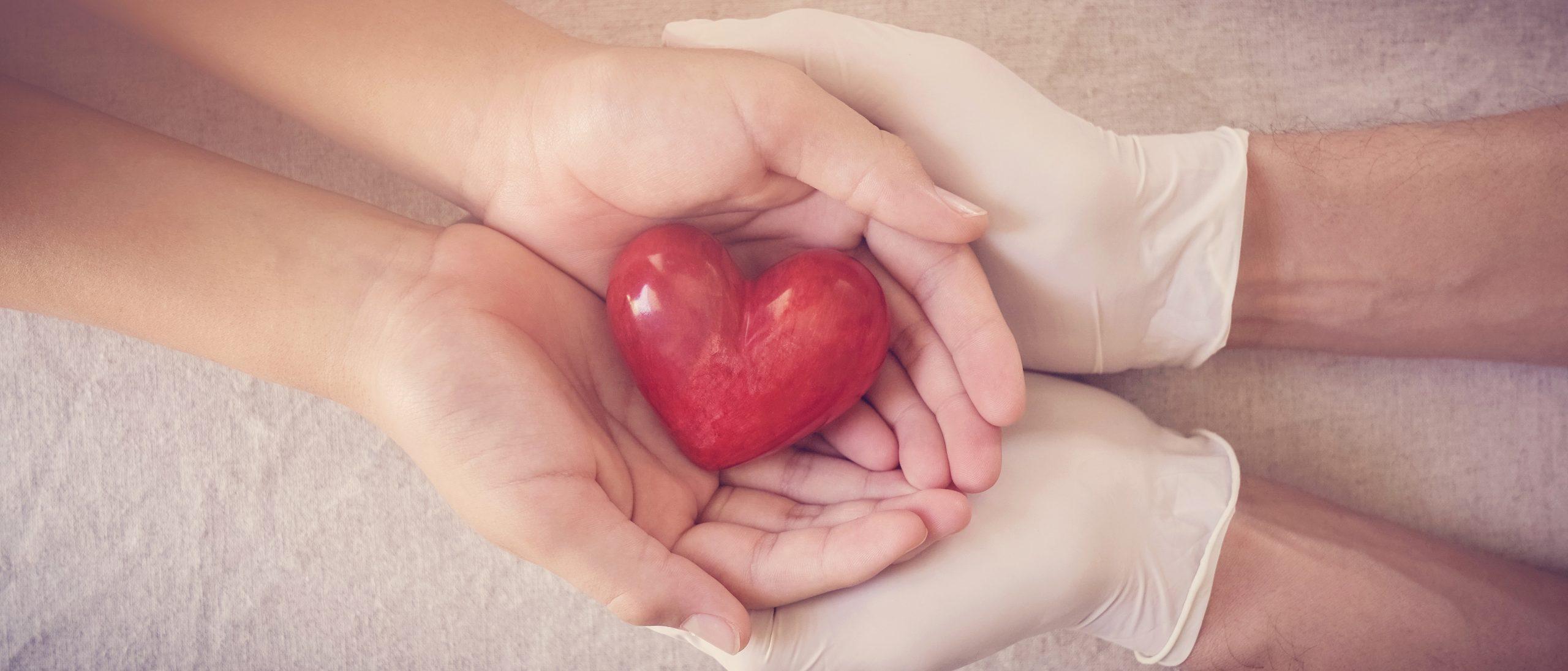 Cardiovascular Surgery Consultation