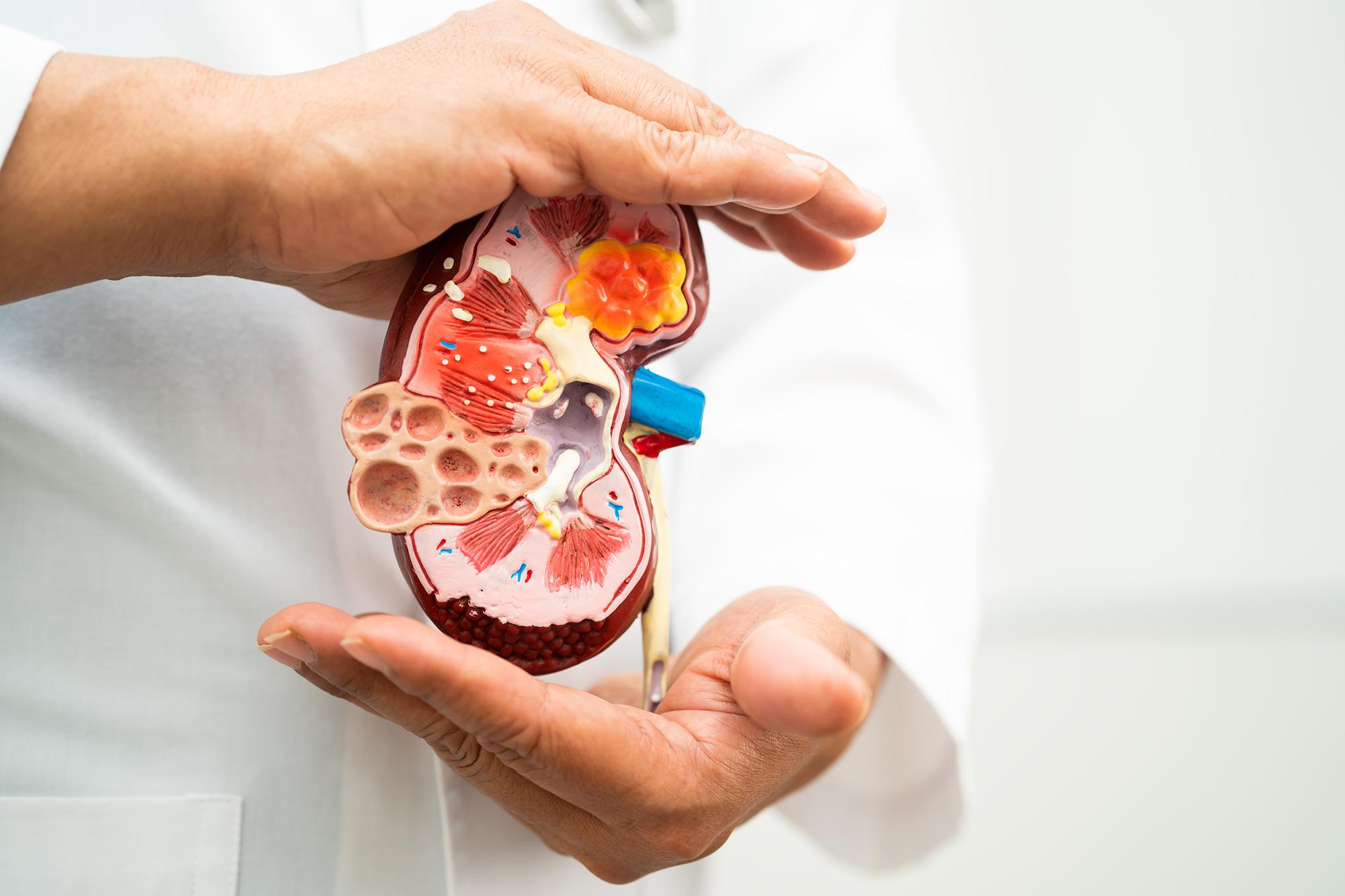 Urology